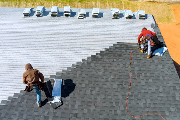 Best Shingle Roofing Installation  in Hammond, IN